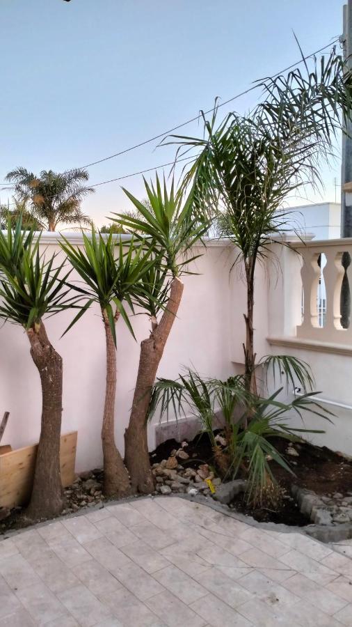 Casa Antonio e Nicoletta Villa Porto Cesareo Exterior foto