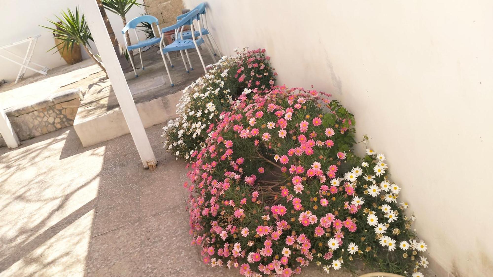 Casa Antonio e Nicoletta Villa Porto Cesareo Exterior foto